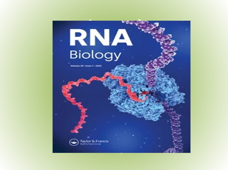MicroRNA circuits and regulatory networks: emerging therapeutic paradigm.  